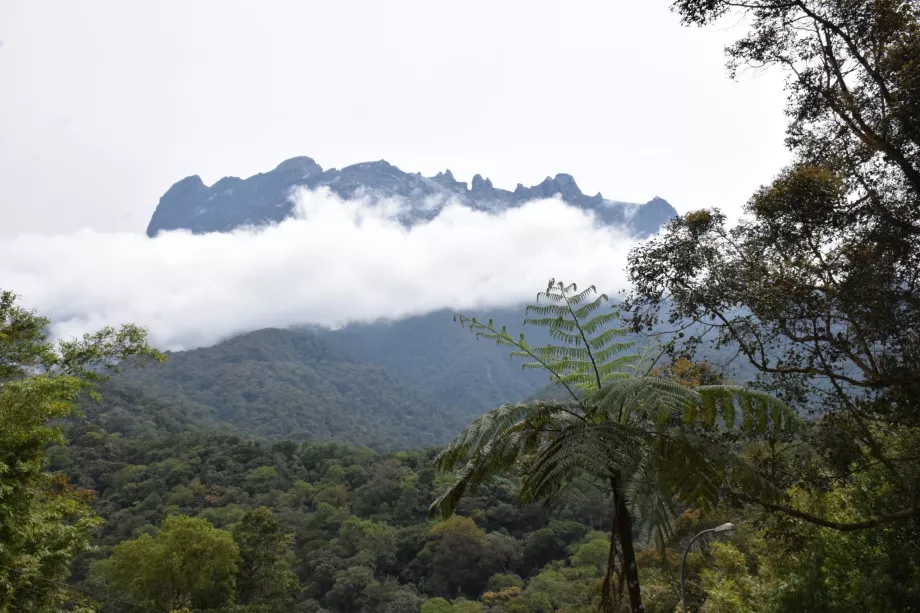 Όρος Kinabalu, Σαμπάχ, Βόρνεο