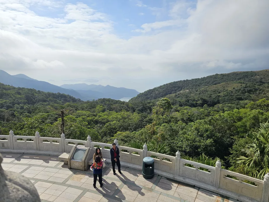 Θέα των δασών του νησιού Lantau