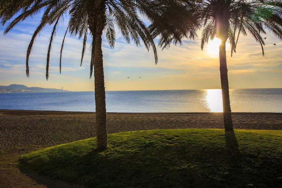 Playa de las Acacias