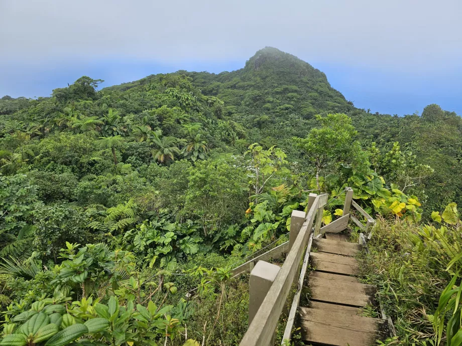 Μονοπάτι Mount Scenery Trail