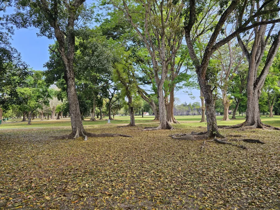 Πάρκο Prambanan