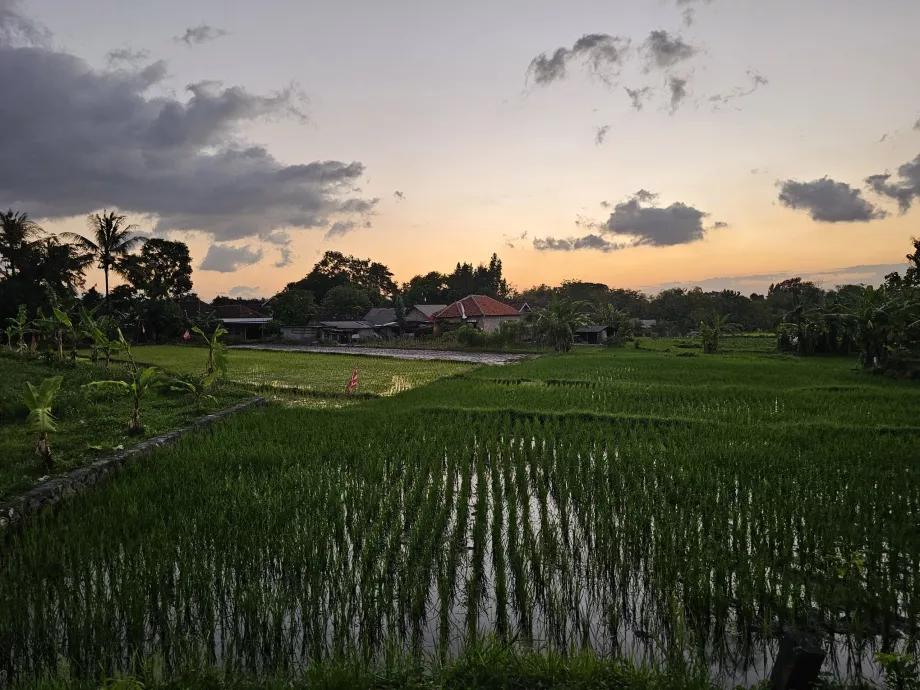 Ο δρόμος προς το Ratu Boko