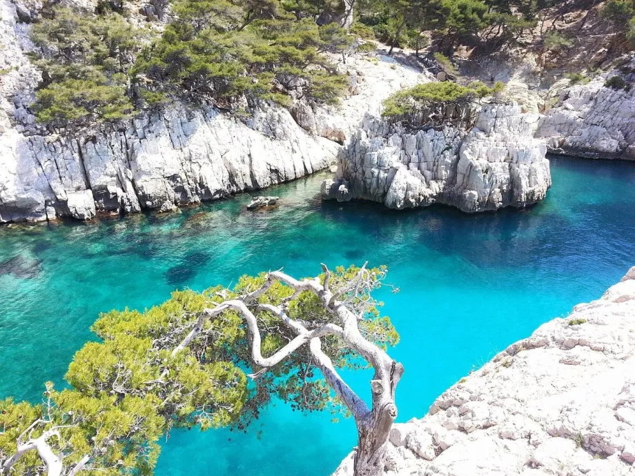 Ο κόλπος των Calanques