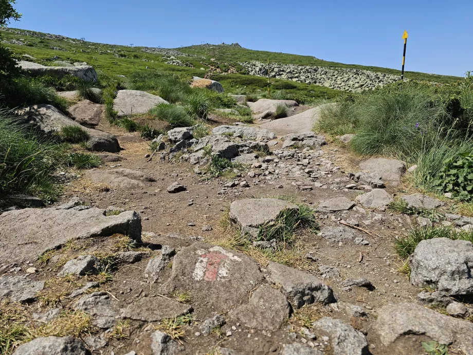 Τουριστικό μονοπάτι προς Vitosha