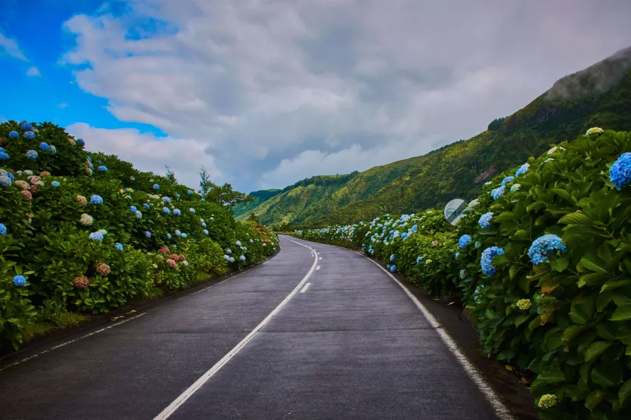 Οδός Sao Miguel