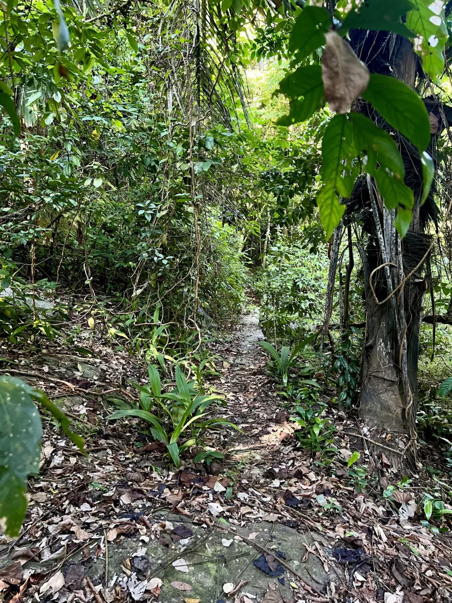 Paya trek προς Genting, Tioman